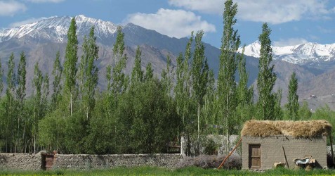 Ladakh to Leh - Alchi & Nubra Valley