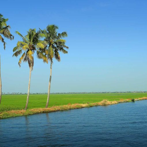 Kerala Backwaters