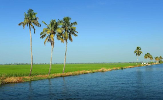 Kerala Backwaters