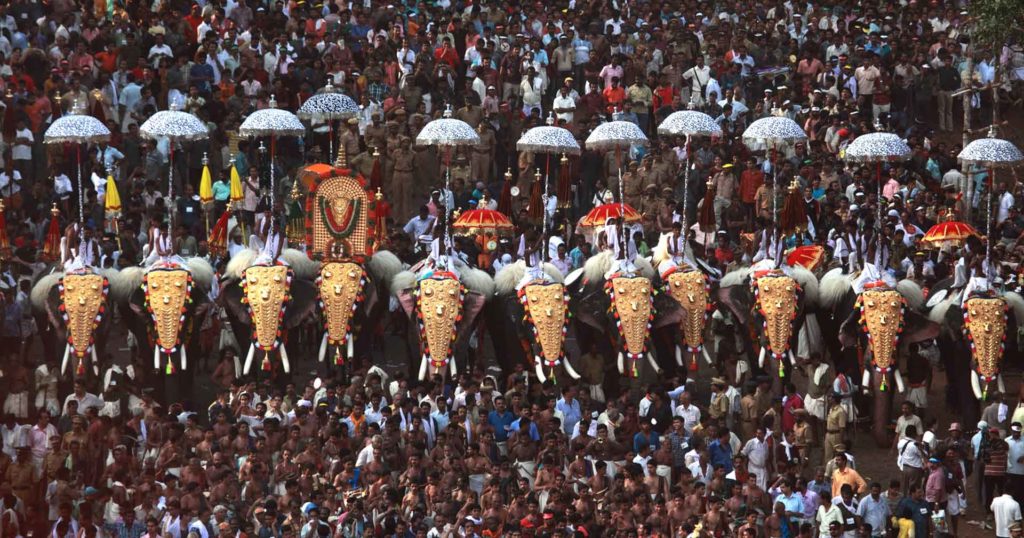 Kerala Temple Elephants