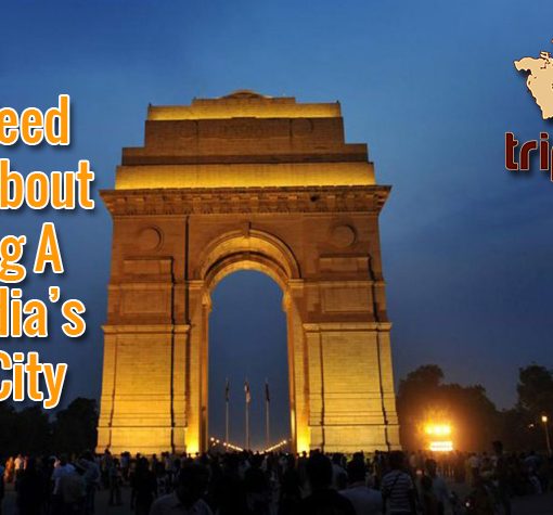 Spending a day in Delhi.