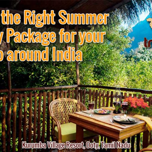 Picking the Right Summer Holiday Package for your Trip around India