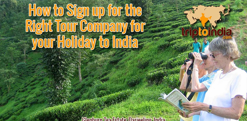 How to Sign up for the Right Tour Company for your Holiday to India