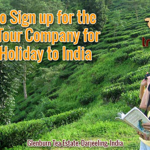 How to Sign up for the Right Tour Company for your Holiday to India