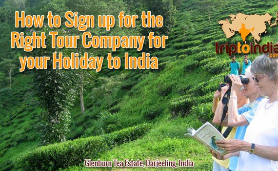How to Sign up for the Right Tour Company for your Holiday to India