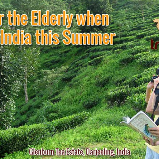 Tips for the Elderly when Touring India this Summer