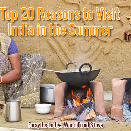 Top 20 Reasons to Visit India in the Summer