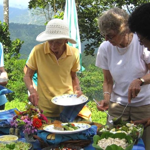 glenburn-darjeeling-food-at-a-picnic