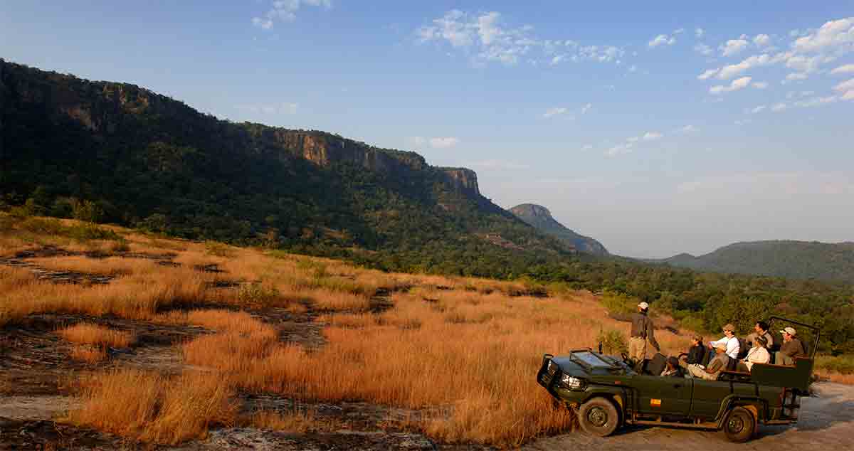 Game drive using a private jeep