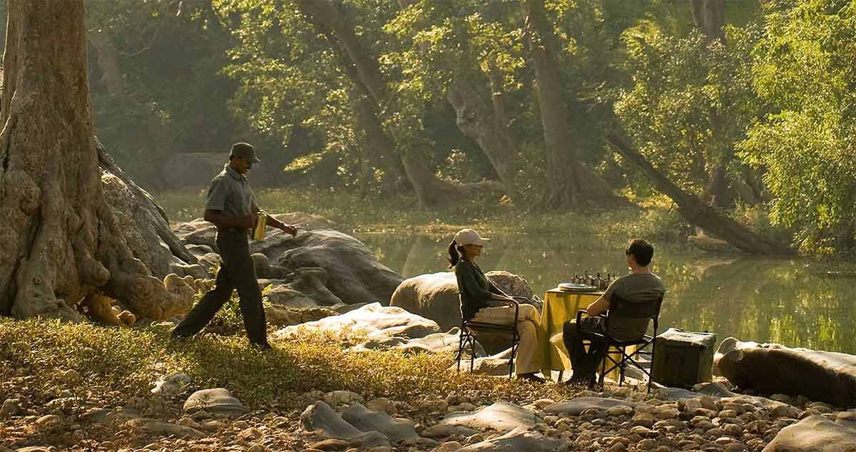 Breakfast in the woods