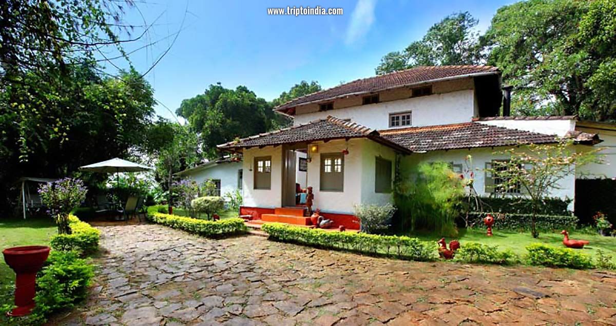 Exterior view of the cottages