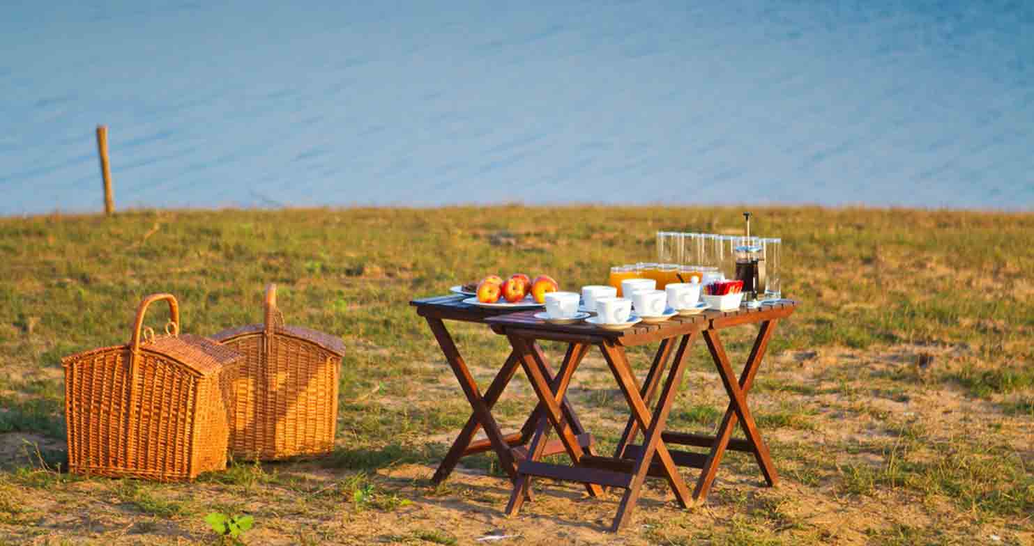 Picnic lunch at lake side